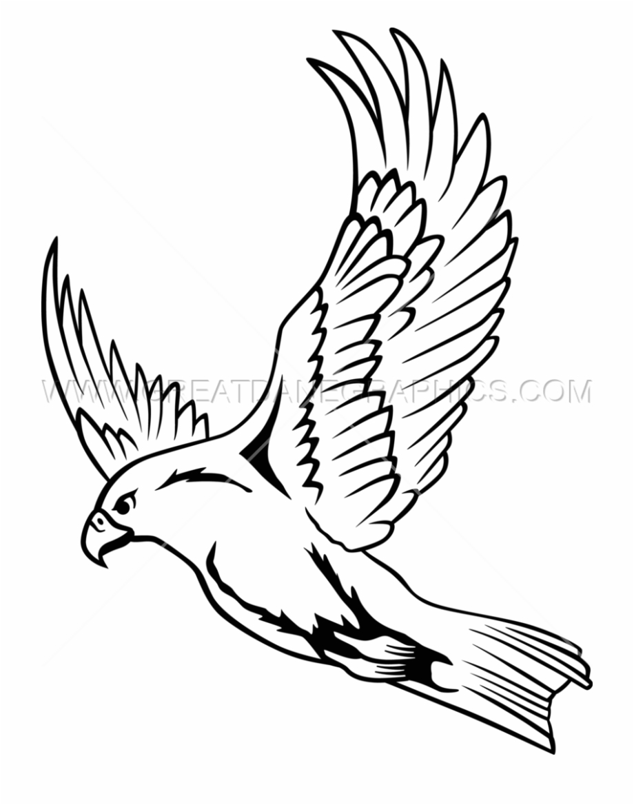 Drawing at getdrawings flying. Falcon clipart falcon line