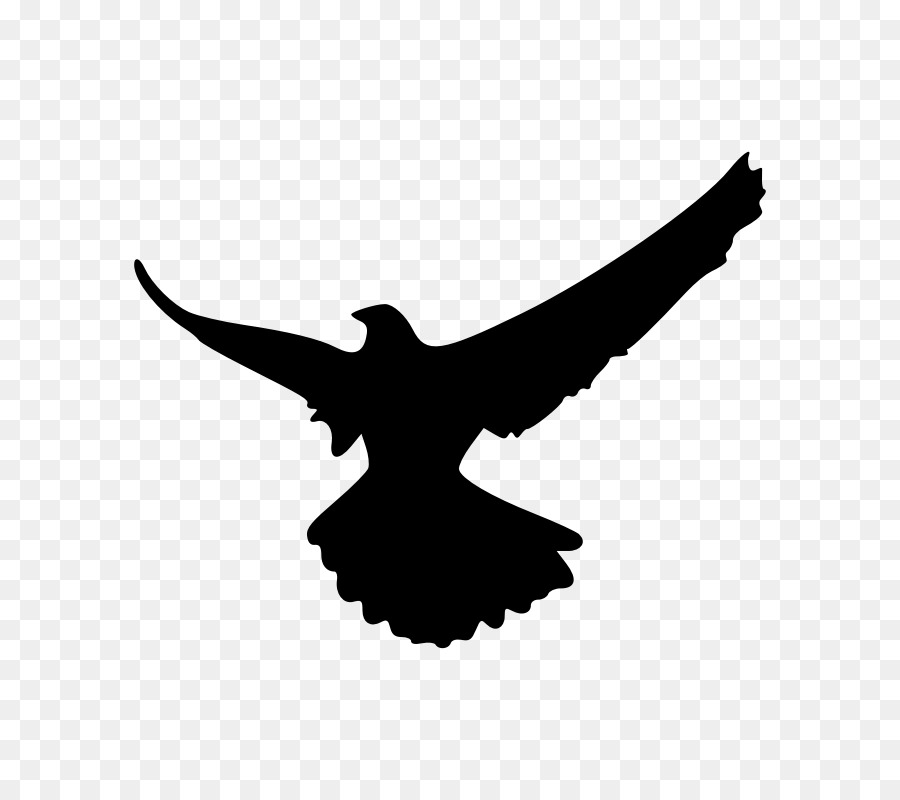 falcon clipart falcon silhouette