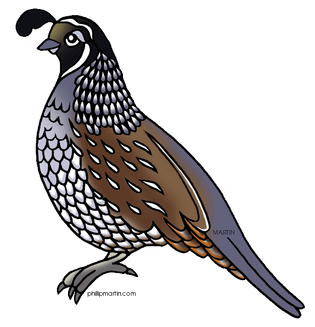 quail clipart black and white