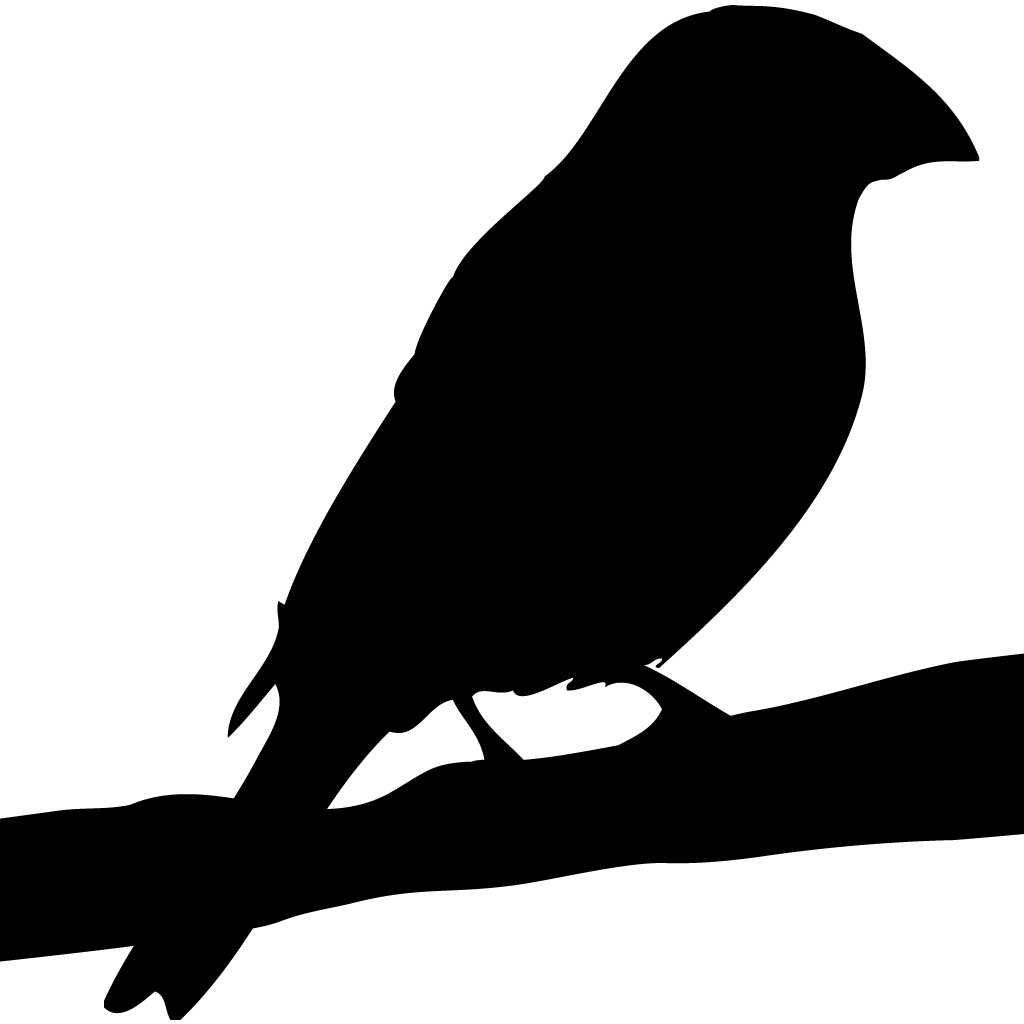 falcon clipart finch