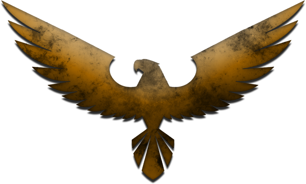 Falcon nighthawk