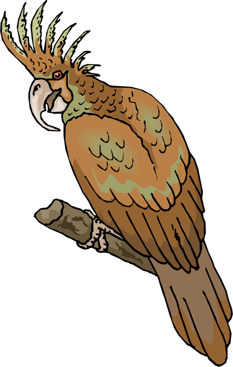 falcon clipart perched bird
