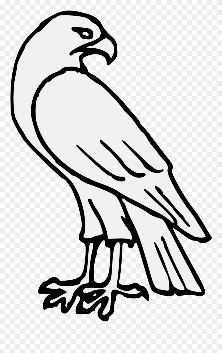 Falcon clipart simple. Pdf easy drawing pinclipart