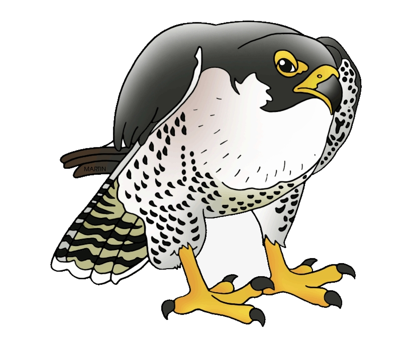 falcon avengers cartoon transparent background