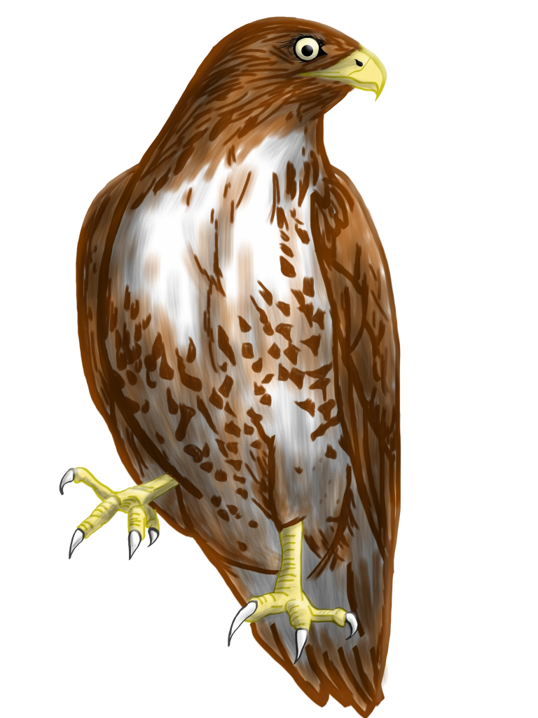 falcon avengers cartoon transparent background