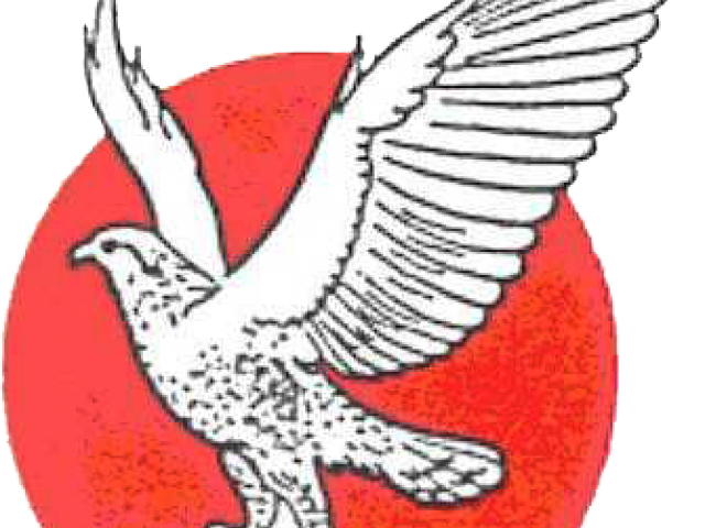 X free clip art. Falcon clipart uae falcon