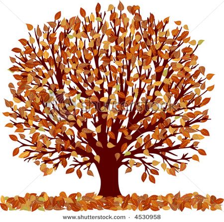 fall clipart deciduous tree