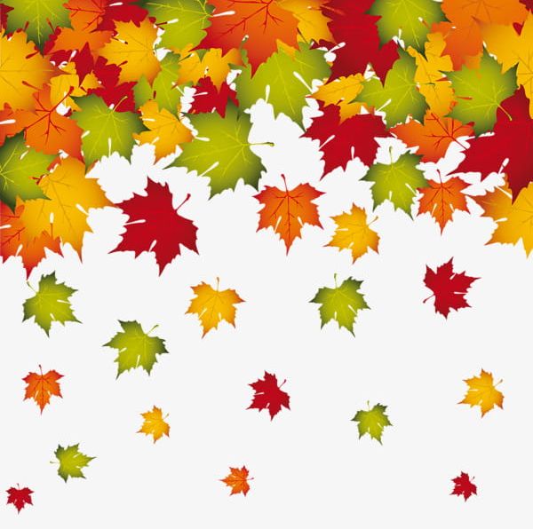 Autumn leaves border png. Fall clipart falling leave