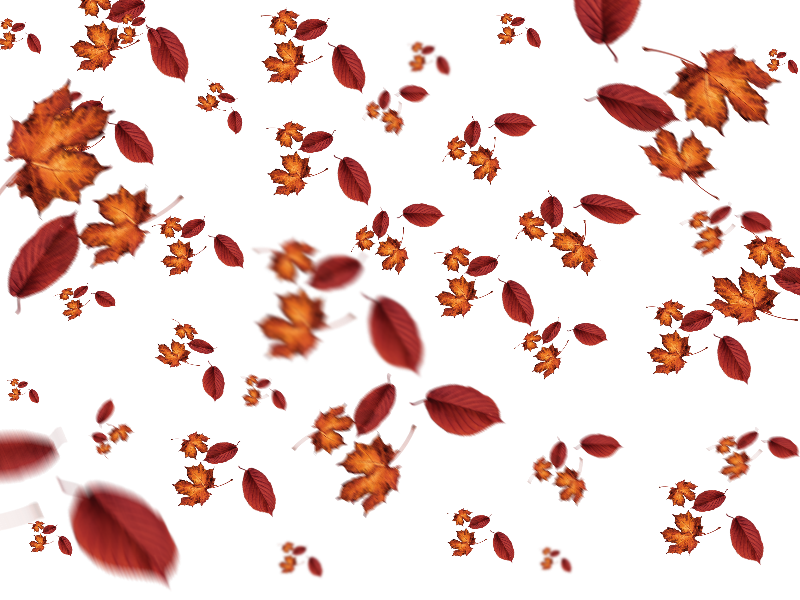 Fall clipart falling leave. Leaves autumn texture overlay
