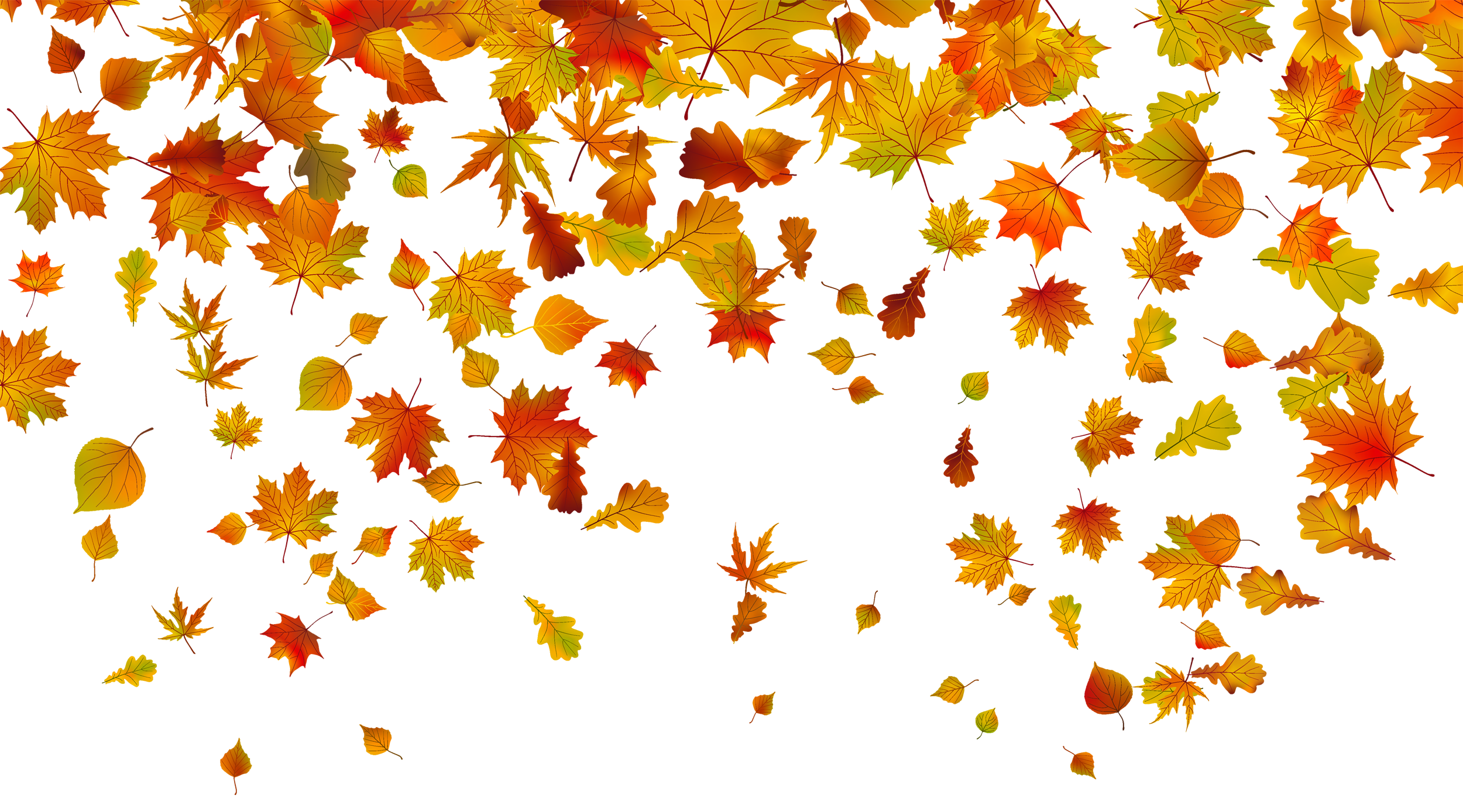 Autumn leaf color clip. Fall clipart falling leave