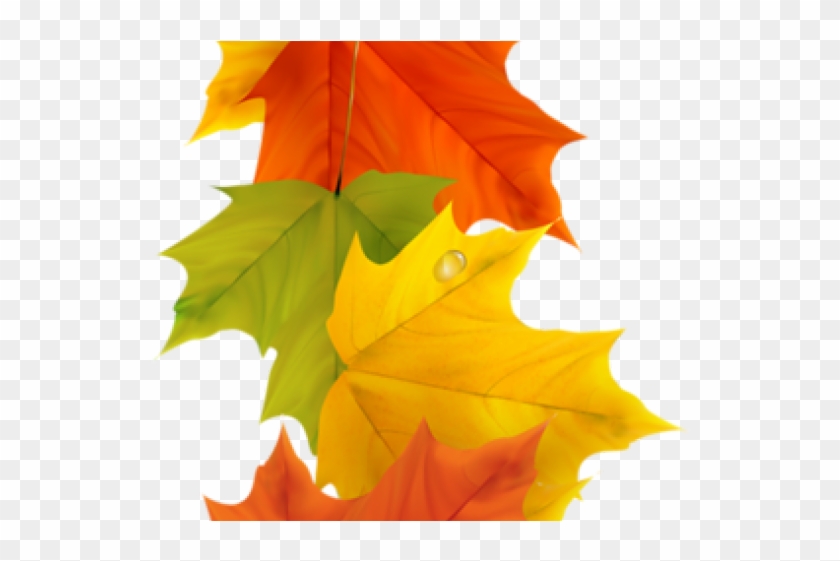 Fall clipart here. Autumn hd png download