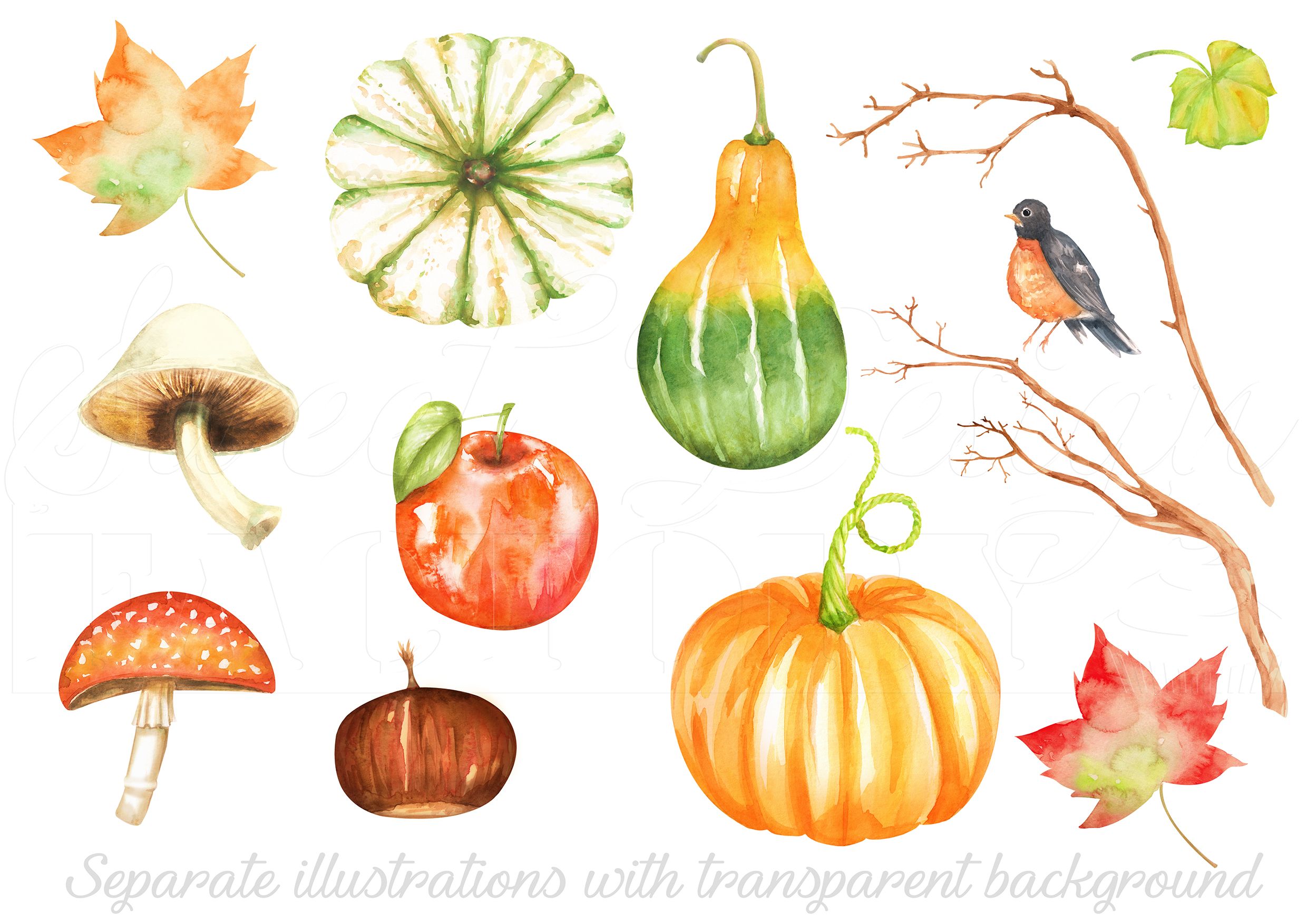 D aquarelle action de. Fall clipart l automne