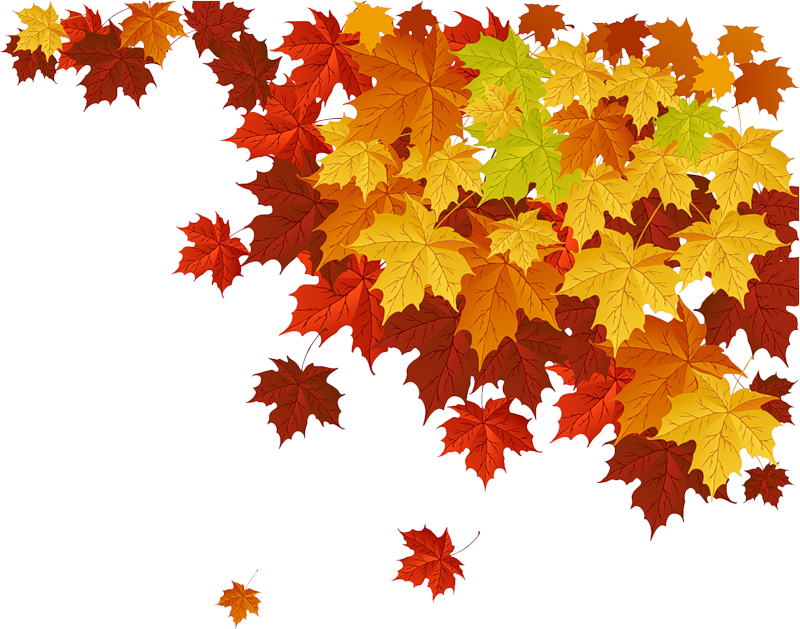 fall clipart leaf pattern