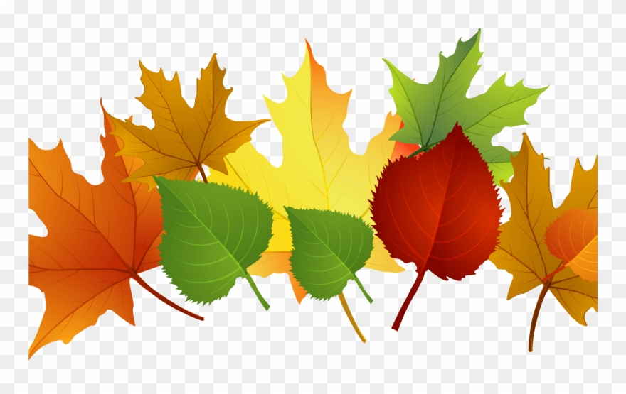 Falling autumn leaf leaves. Fall clipart leavesclip