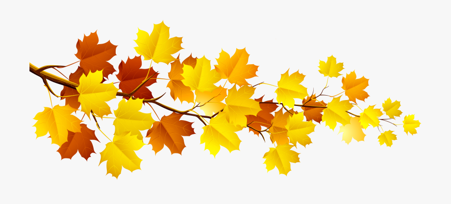 Autumn leaves clip art. Fall clipart leavesclip