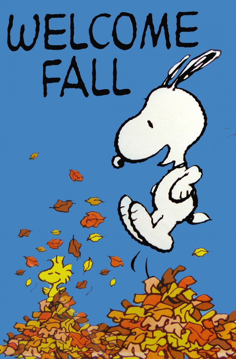 Fall clipart peanuts cartoon. Pin by kim sageman