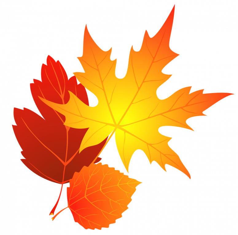  huge freebie download. Fall clipart pile fall leaves
