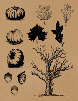 Fall clipart vintage. Autumn pumpkin leaves forest