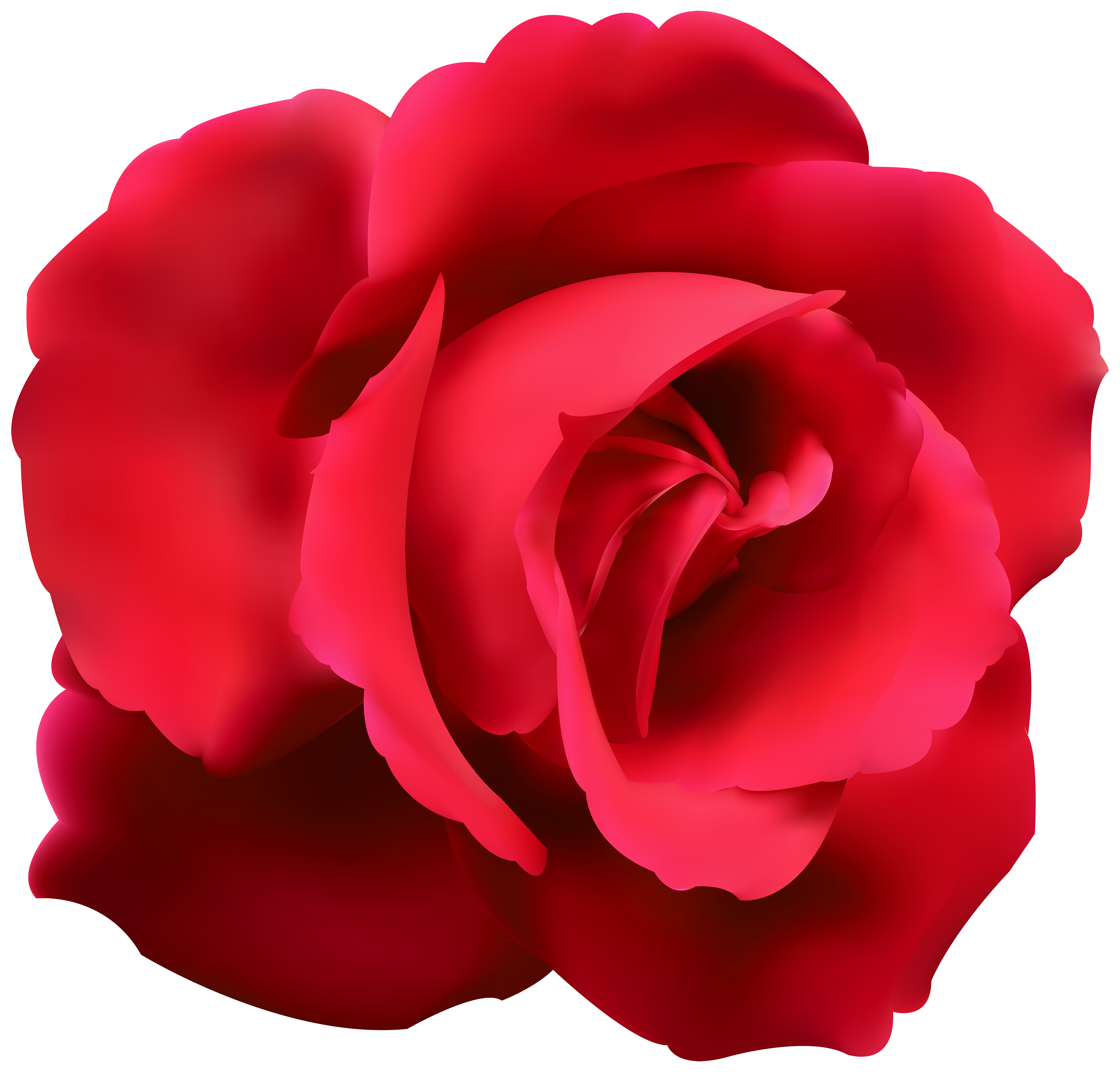 Rose clip art png. Families clipart red