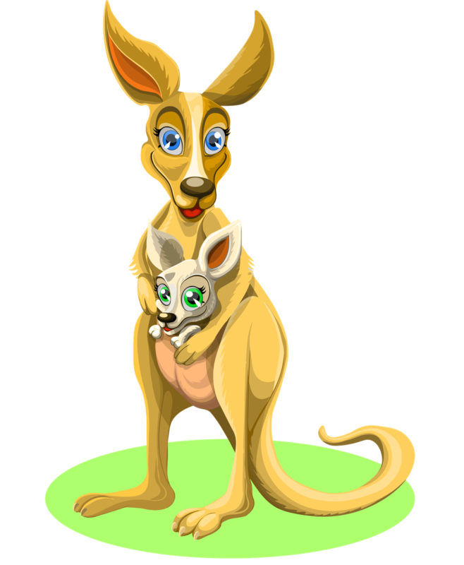 Kangaroo clipart clothes. Free images black and
