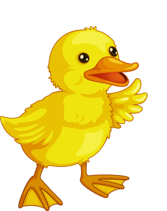 farm clipart duck