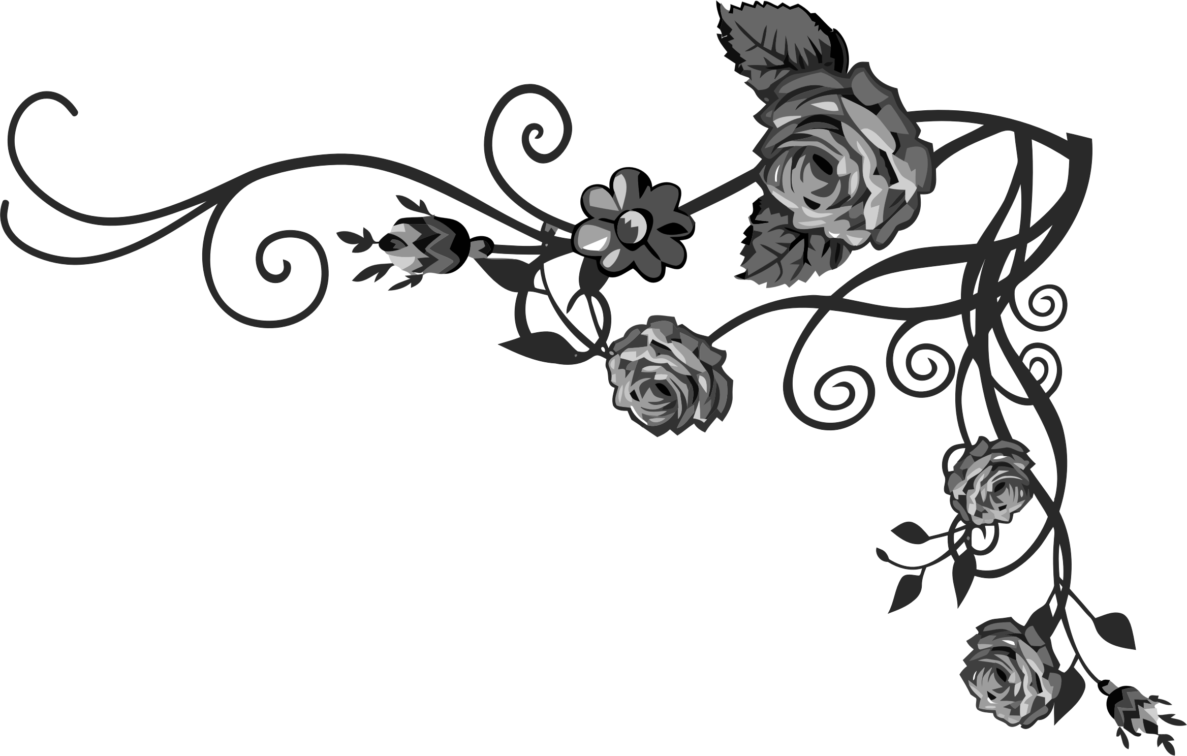 Flourishes clipart vine, Flourishes vine Transparent FREE for download