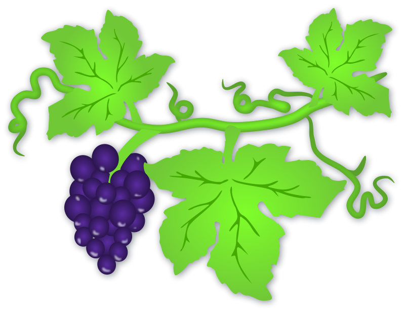 grapes clipart coloring sheet