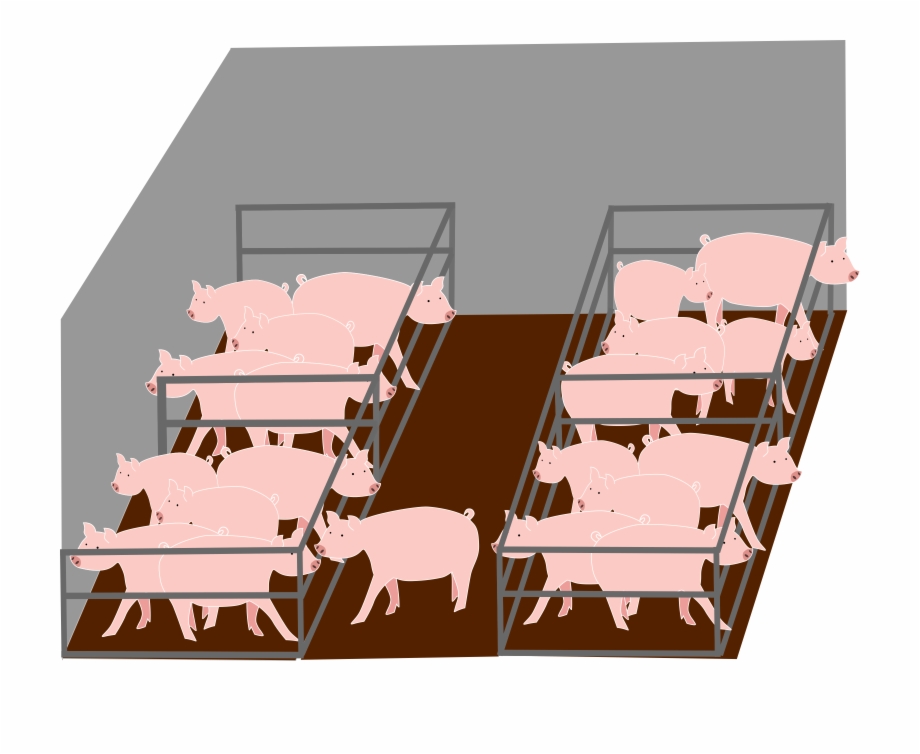 Stock farming intensive animal. Farmers clipart farmer wife