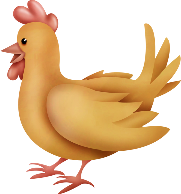 hen clipart orange chicken