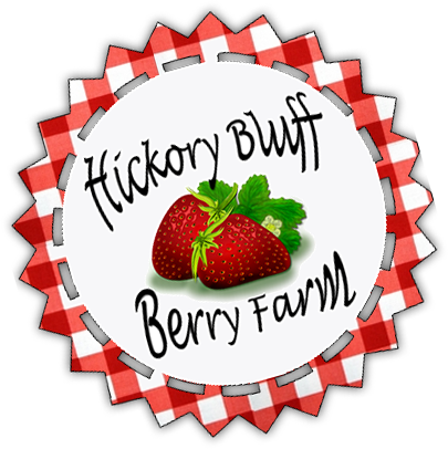 farming clipart strawberry farm