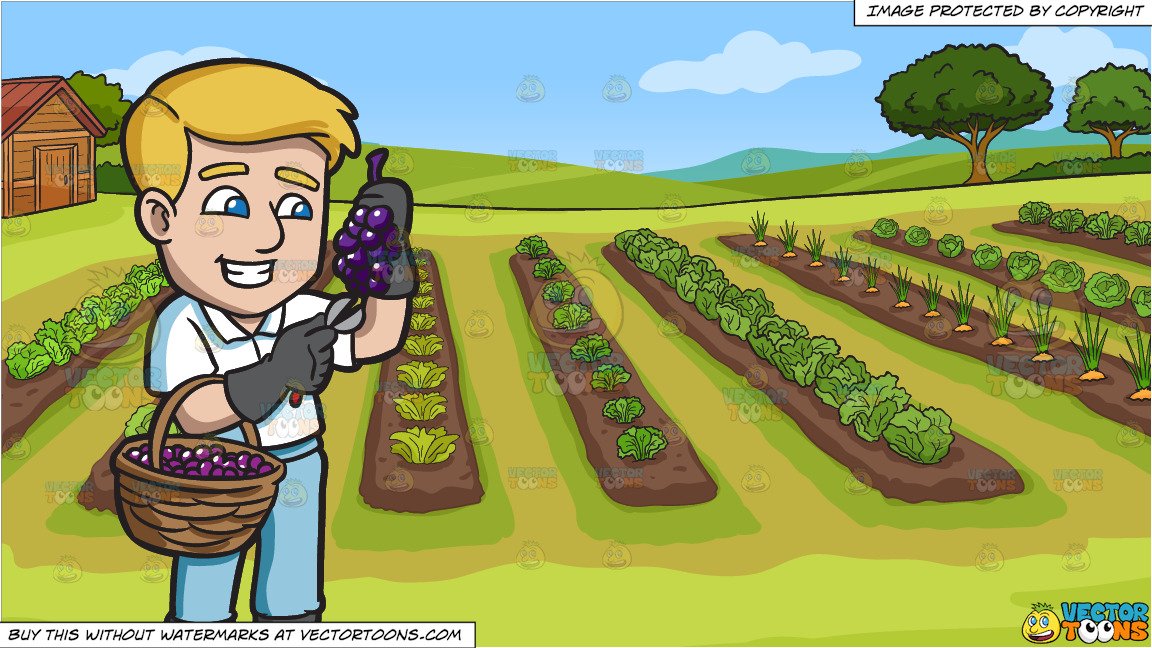 Farming clipart vegetable farm, Farming vegetable farm Transparent FREE