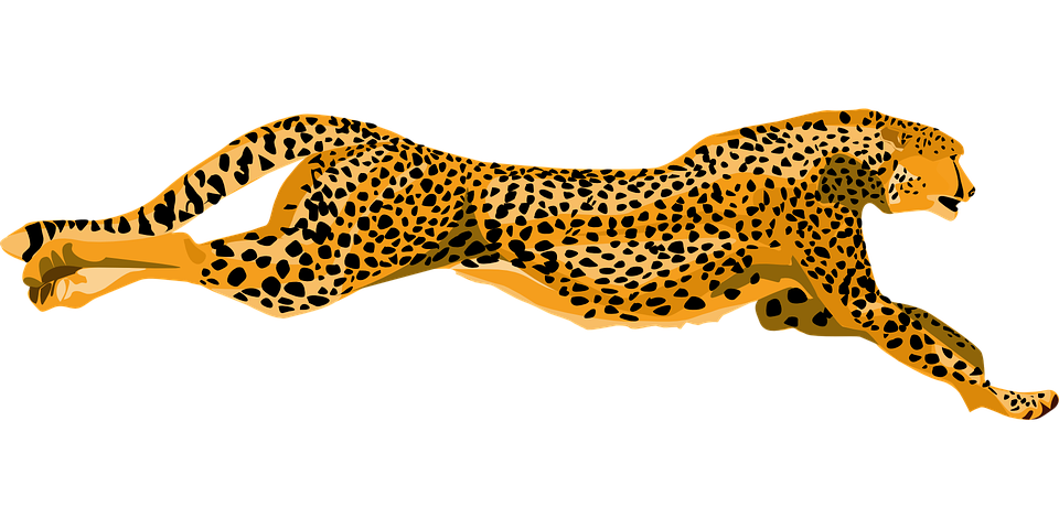 jaguar clipart fast animal