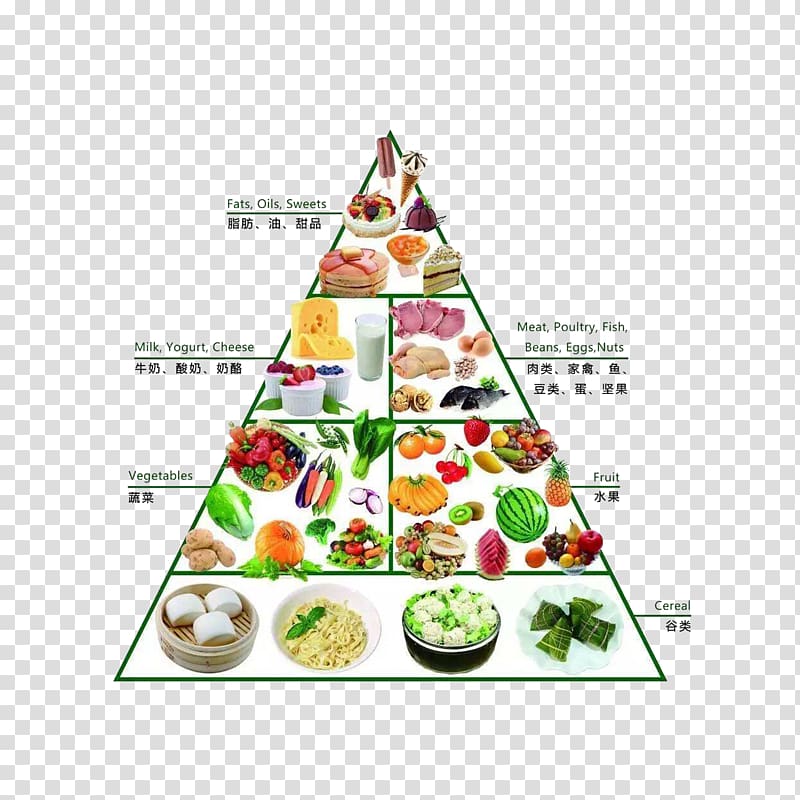 fat clipart balanced diet pyramid