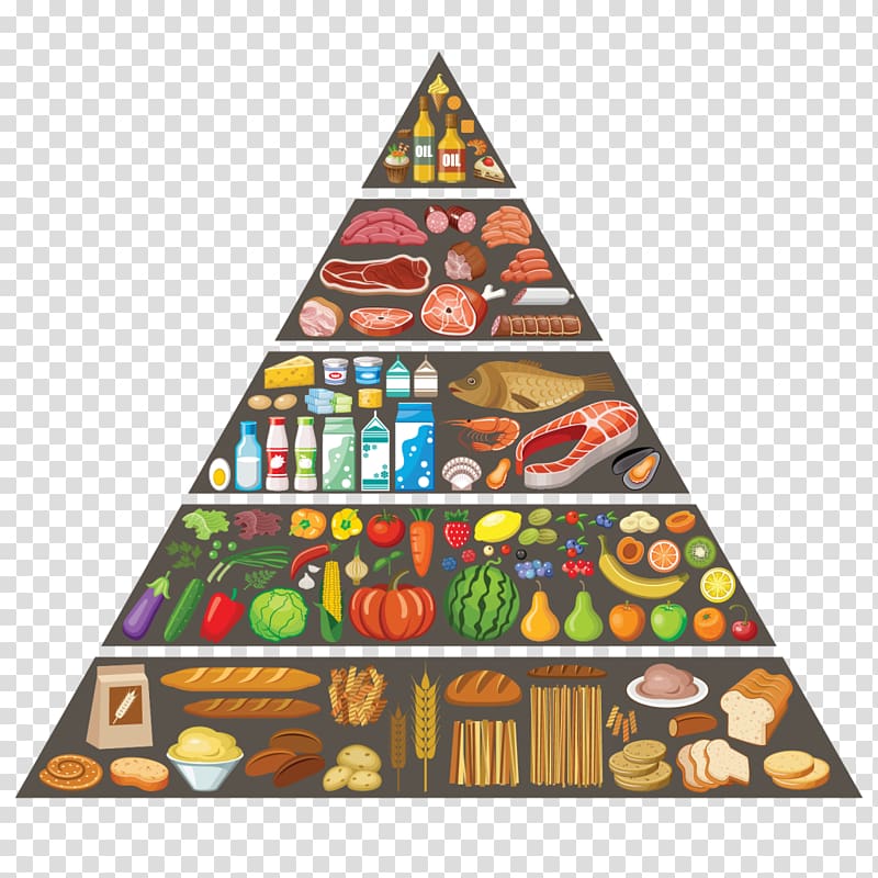 fat clipart balanced diet pyramid