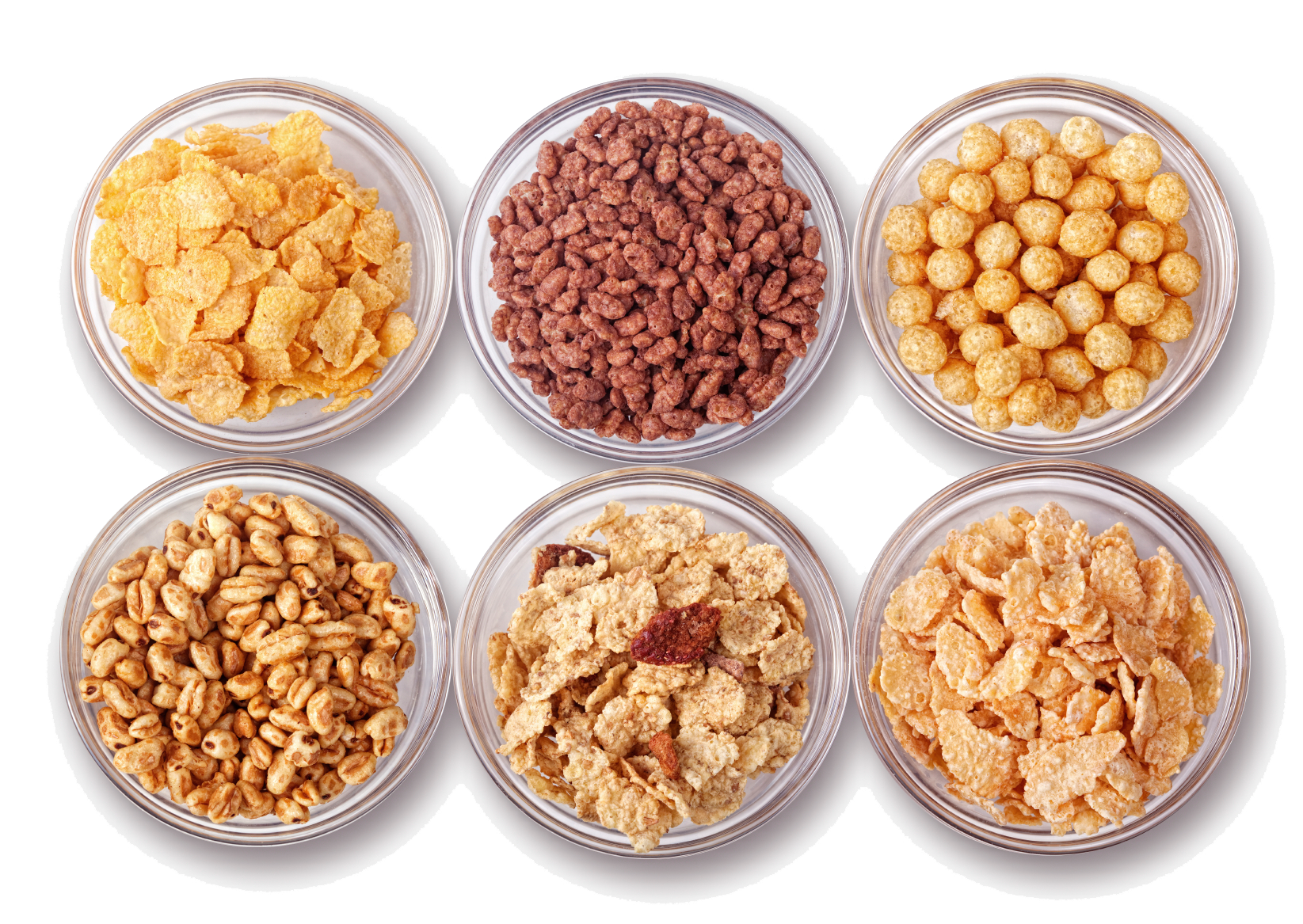 grains clipart bread cereal rice pasta group