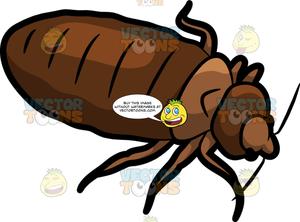 fat clipart bug