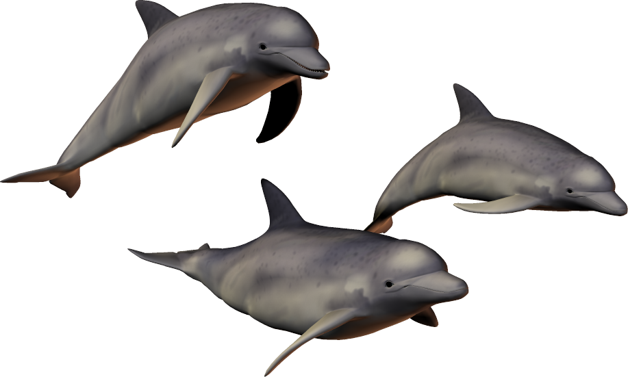 fat clipart dolphin