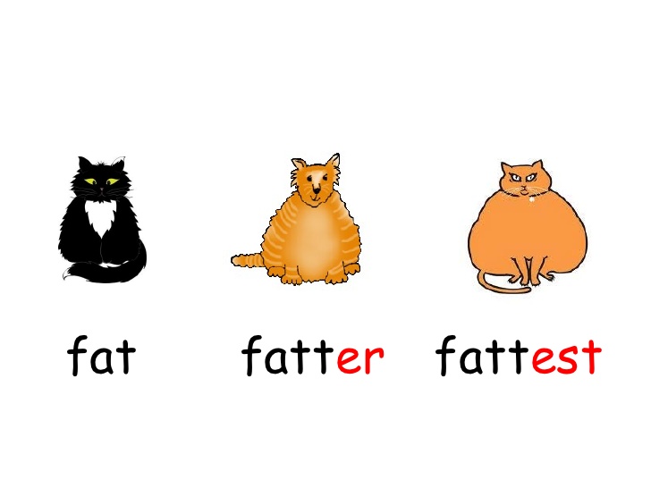 Fattest . Fat clipart fat fatter