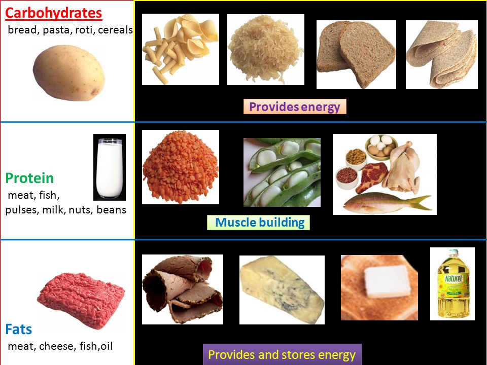 Lesson plan components vii. Fat clipart food component