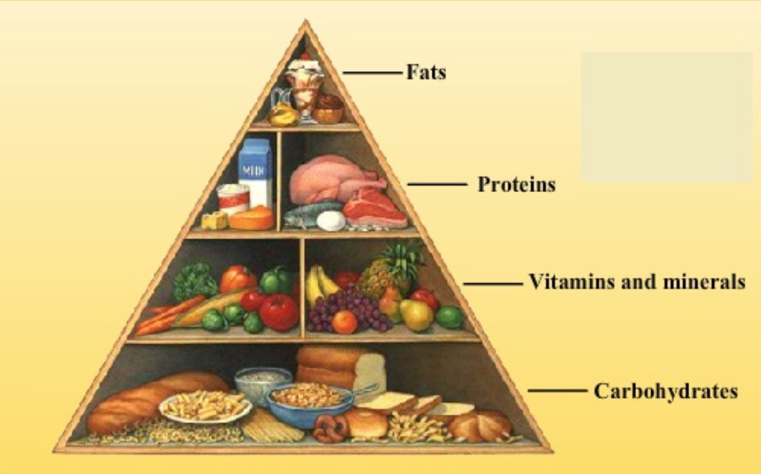 Fat clipart food component. Components of class 