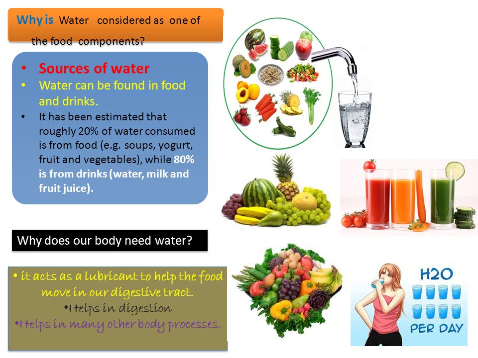Fat clipart food component. Lesson plan components vii