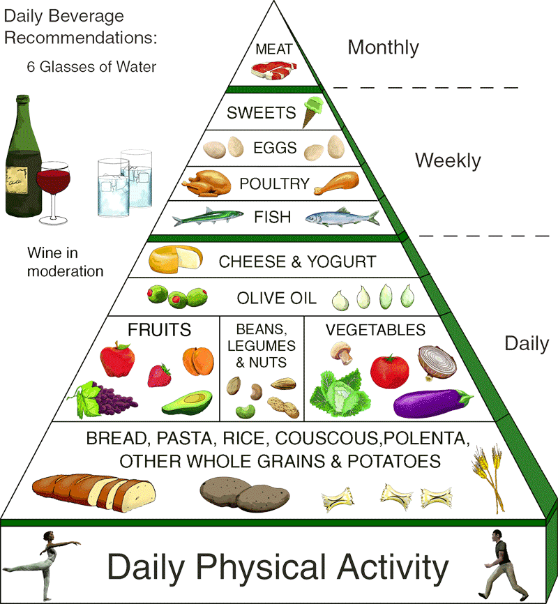 Honovylys chain healthy. Fat clipart food guide pyramid