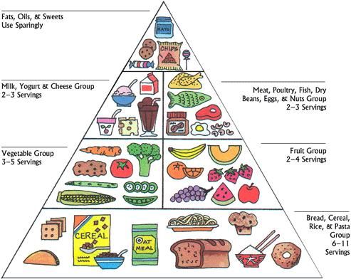 Meat clipart food pyramid. Pin on pcos 