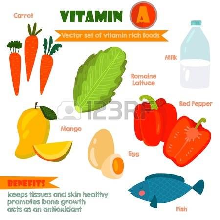 Stock vector facts vitamin. Fat clipart mineral food
