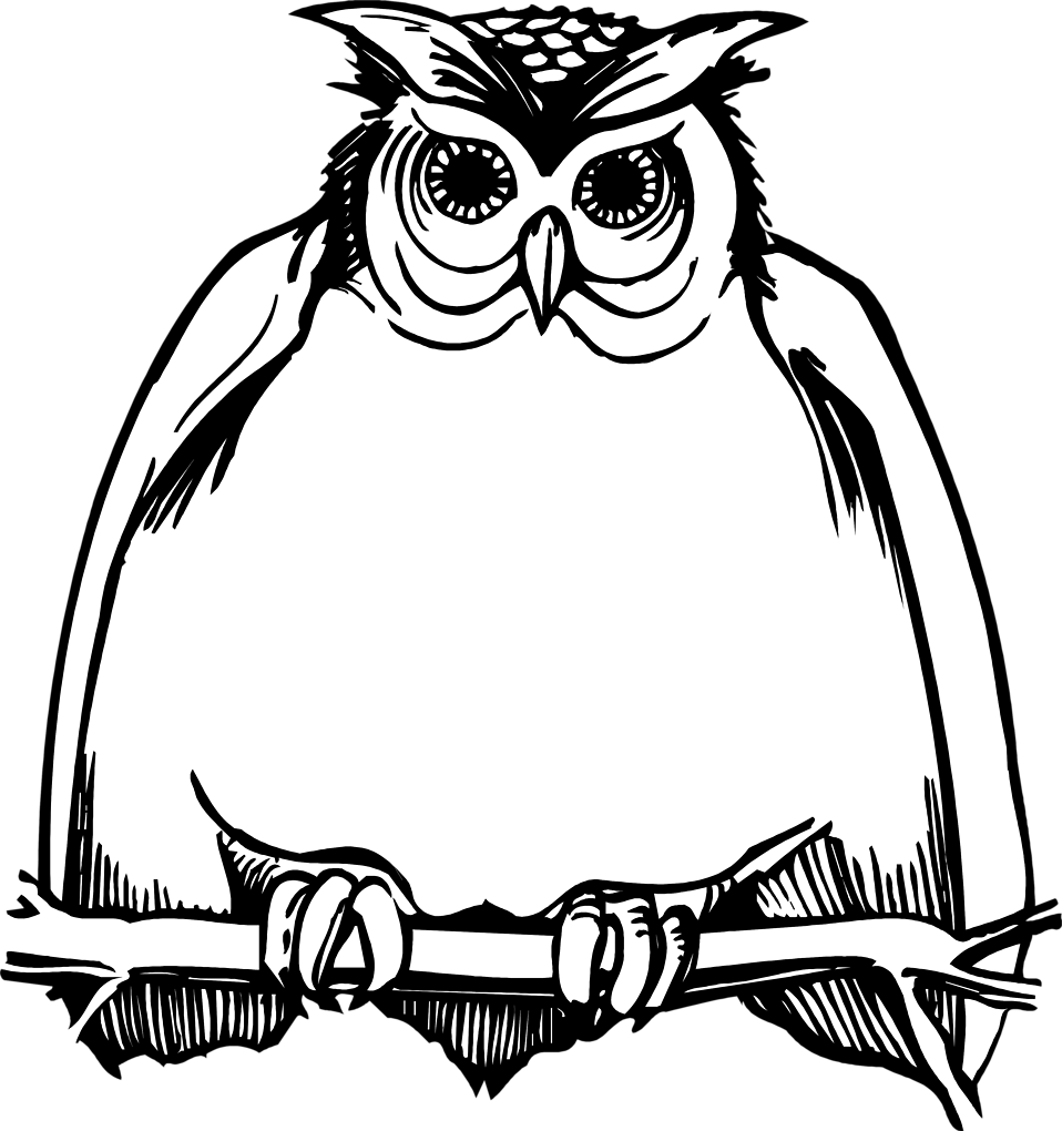 Free stock photo illustration. Fat clipart owl
