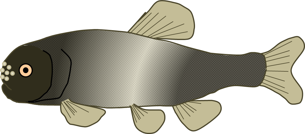 New haiku jason s. Father clipart fish