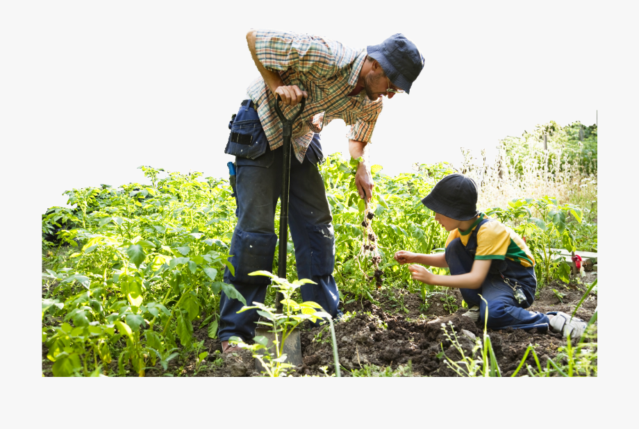 father clipart gardening