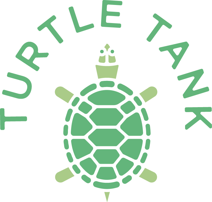 fear clipart turtle