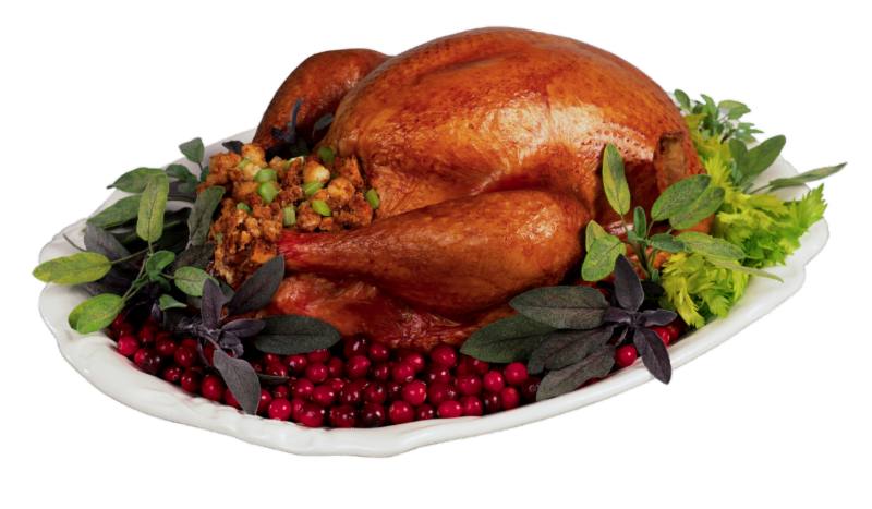 feast clipart roast goose