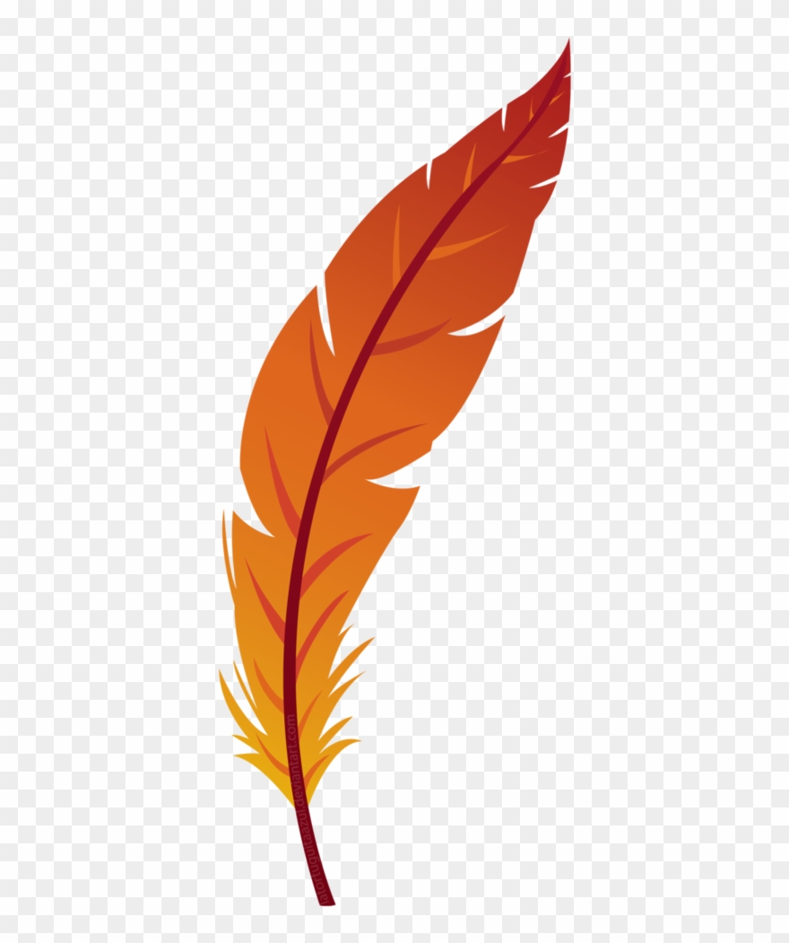 Feathers clipart transparent background. Feather orange 